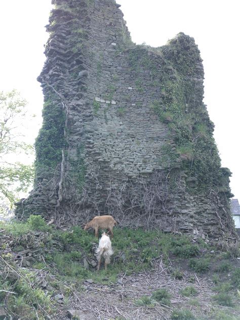 Llantrisant Castle | Welsh castles, Welsh ancestry, Castle