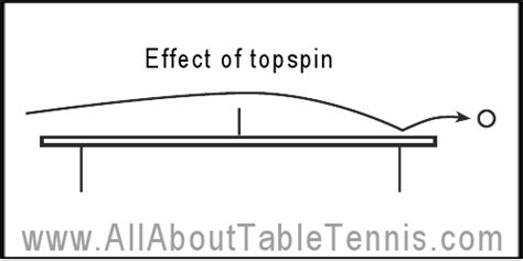 Table Tennis Techniques - Spin