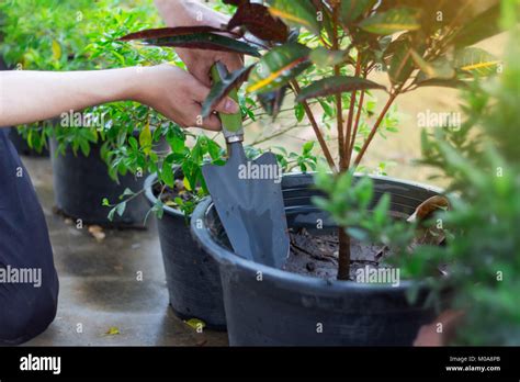 Loosen soil hi-res stock photography and images - Alamy