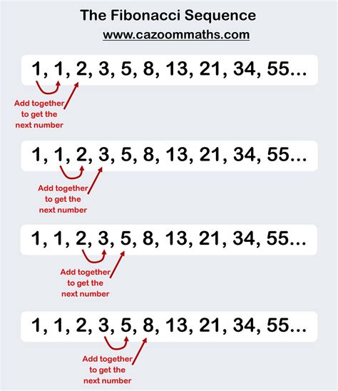 Function Machine (Activity Worksheets) | Cazoom Maths