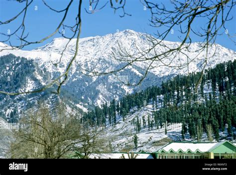 snow covered peaks in pahalgam, jammu and kashmir, india Stock Photo - Alamy