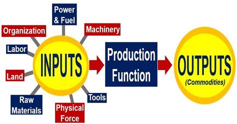 What is the production function in economics? - Market Business News