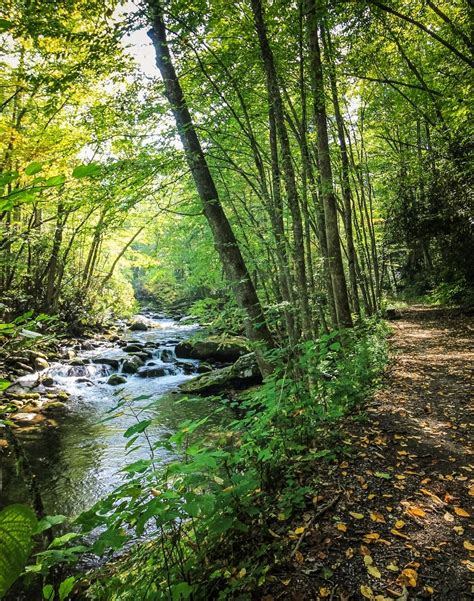 Best Spring Hikes in the Great Smoky Mountains