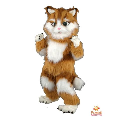 Cat Mascot Costume, Cat Mascot Costume, Cat Plush Toy