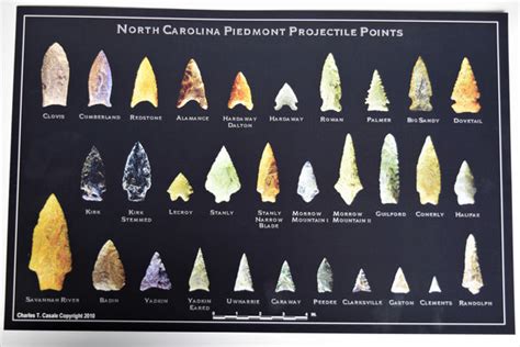 NC Piedmont Projectile Points Poster – Aurora Fossil Museum Store