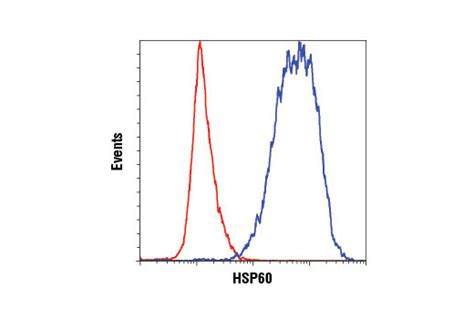 Mitochondrial Marker Antibody Sampler Kit | Cell Signaling Technology