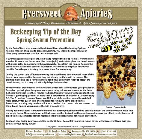 Beekeeping Tip of the Day - Swarm Prevention Local Honey, Apiary, Tip Of The Day, Beekeeping ...