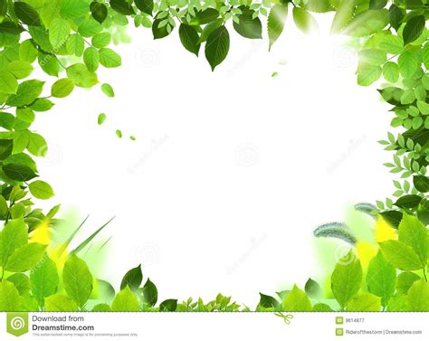 Natural frame clipart 20 free Cliparts | Download images on Clipground 2023