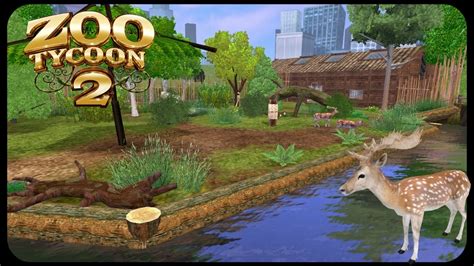 Animal Rescue Zoo | Zoo Tycoon 2 Ultimate Collection Zoo Buildling - YouTube