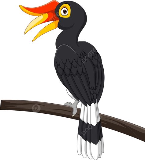 Hornbill Bird Vector Hd PNG Images, Cartoon Hornbill Bird Isolated On White Background, Happy ...