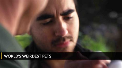 Watch World's Weirdest Pets | OSNtv Kuwait