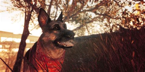 Fallout 4's Dogmeat Inspiration Passes Away | CBR