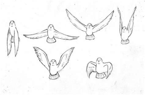 Pin on How to Draw - Birds | Birds flying, Character design references, Character design