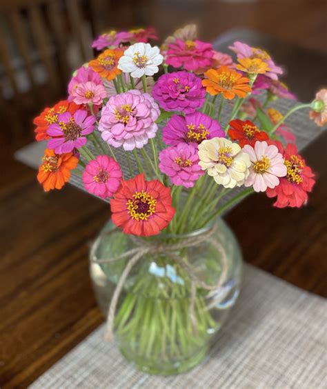 Creative Ways to Arrange Zinnias for Stunning Floral Displays - DIY ...