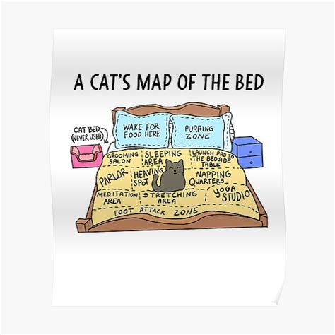 "Cats Map of the Bed Funny Cat gift for Cat owner" Poster for Sale by Mesyo | Redbubble