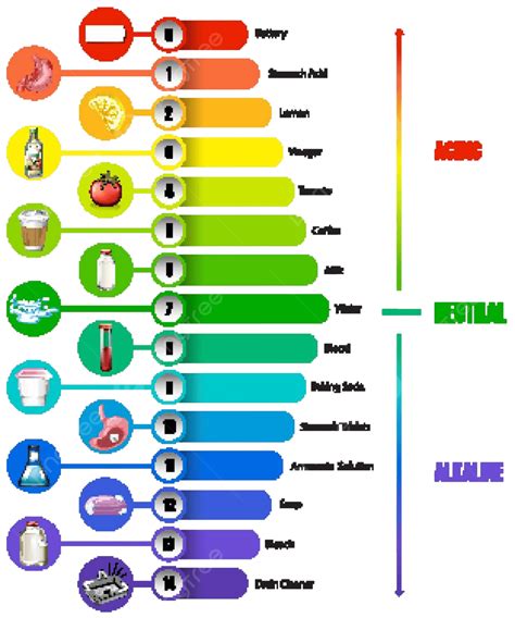 The Ph Scale On White Background Image Picture Colourful Vector, Image, Picture, Colourful PNG ...