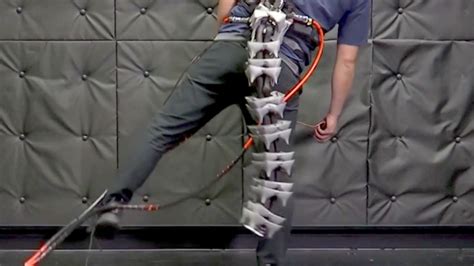 Robotic tail could help off-balance elderly stay upright - Clinical Daily News - McKnight's Long ...