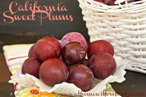 Canning Fresh Plums — At Home with Rebecka