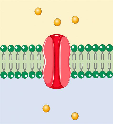 The 12 Molecules of Christmas – Membrane Transporters