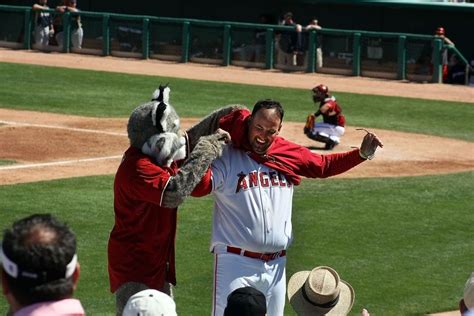 Arizona Diamondbacks mascot, Baxter is helping an Angles fan support the Diamondbacks with a ...