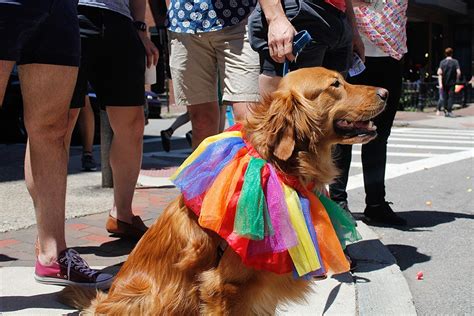 Photos from the 2019 Boston Pride Parade and Festival