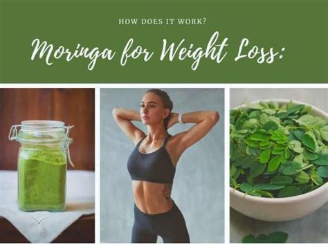 How to use moringa powder for weight loss? - Blog - Undersun Biomedtech ...