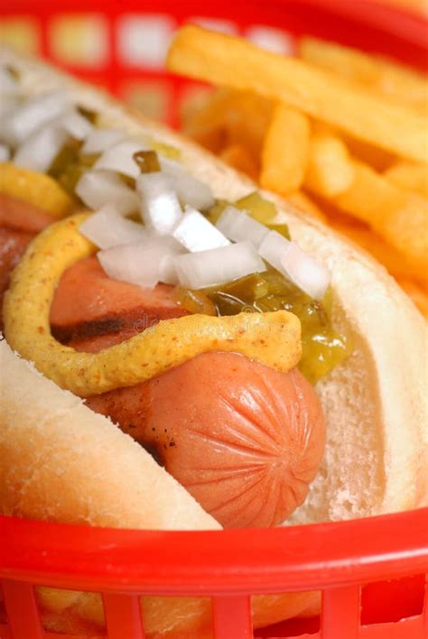 Hot dog with condiments stock photo. Image of condiment - 8803808