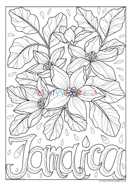 Jamaica National Flower Colouring Page