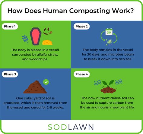 5 Overlooked Composting Innovations That Will Change the Future - Sodlawn