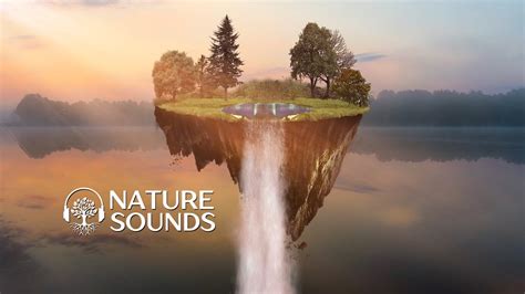 Nature Sounds Forest Sounds Waterfall Nature Sound Waterfall Sounds Bird Sounds Sounds Of Nature ...