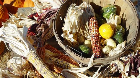 What Do Native Americans Eat Hot Sale | rizsolutions.com