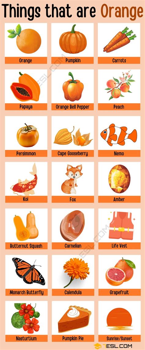 170+ Things That Are Orange in English • 7ESL