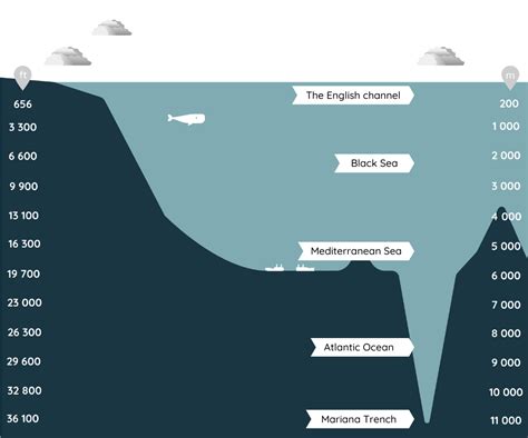 What is the difference between sea and ocean?