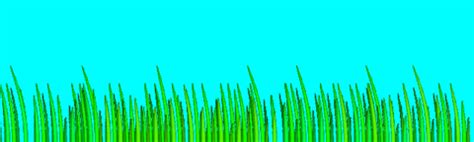 Grass GIF - Find & Share on GIPHY