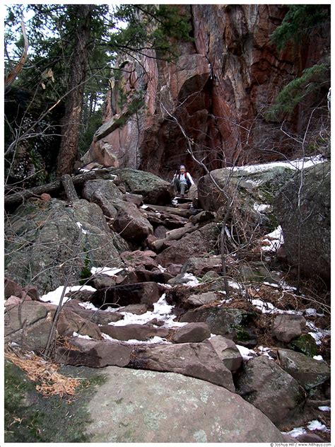 Fern Canyon Trail