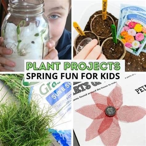 21+ Plant Activities For Kids | AlyunAliesha