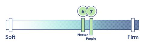 Nectar vs Purple Mattress Review (2024) - Sleepopolis