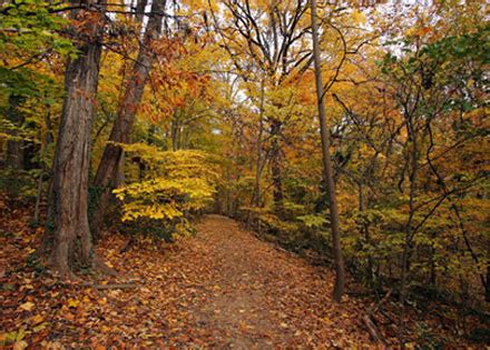 Rock Creek Park: The District