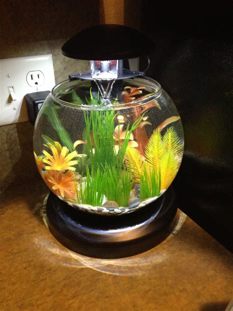 Betta fish bowl with waterfall filter and heater. | Betta fish bowl ...