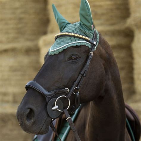 Horze Stewart Bridle | Dover Saddlery