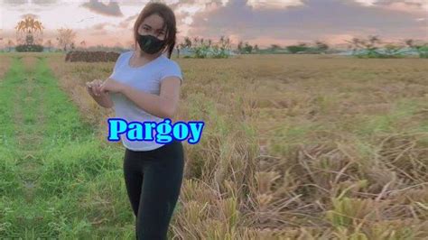 Pargoy Viral di TikTok, Apa Arti Pargoy dalam Bahasa Gaul & Pargoy Artinya? - Tribunpekanbaru.com