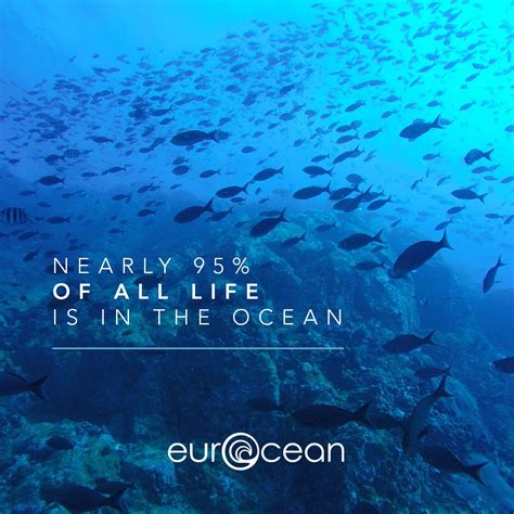 EurOcean on Twitter: "The ocean is home to most of Planet's dominant ...