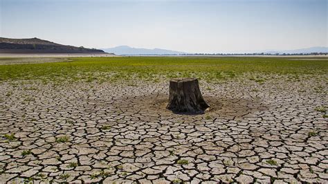 Dry lake bed and dead fish seen as record heat persists in Nevada - CGTN