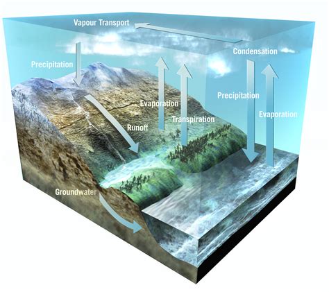 Space in Images - 2004 - 09 - The Earth's water cycle