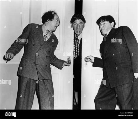 The Three Stooges Moe Larry Shemp