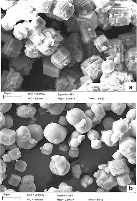 Scanning electron microscope images of calcium carbonate crystals. a ...