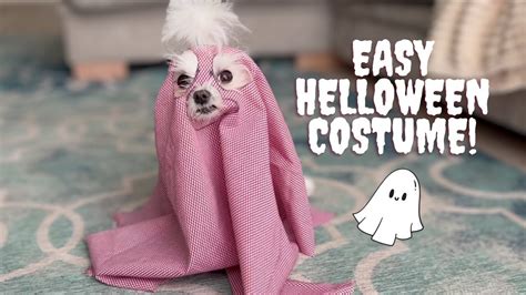 Easy Halloween Costume For Your Dog | Ghost Costume DIY👻 - YouTube