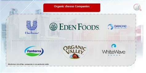 Organic Cheese Companies | Market Research Future