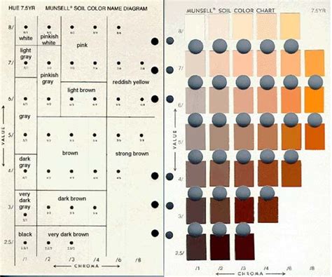 Munsell Soil Colour Chart – SURESERV Engineering Sdn Bhd