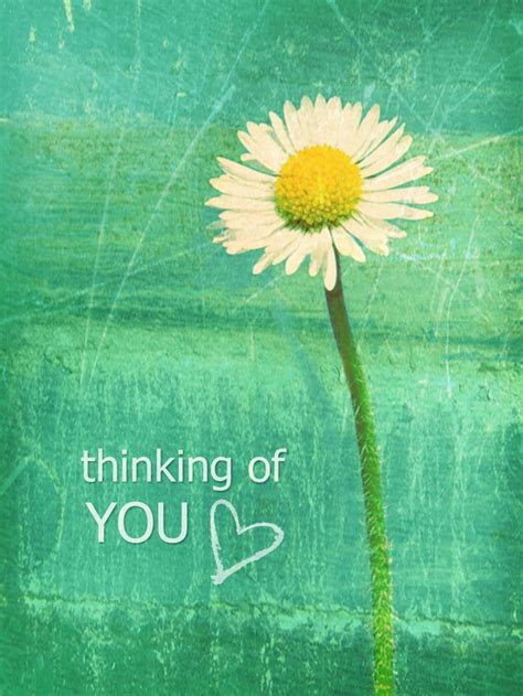 Thinking of you | Thinking of you quotes, Thinking of you images ...